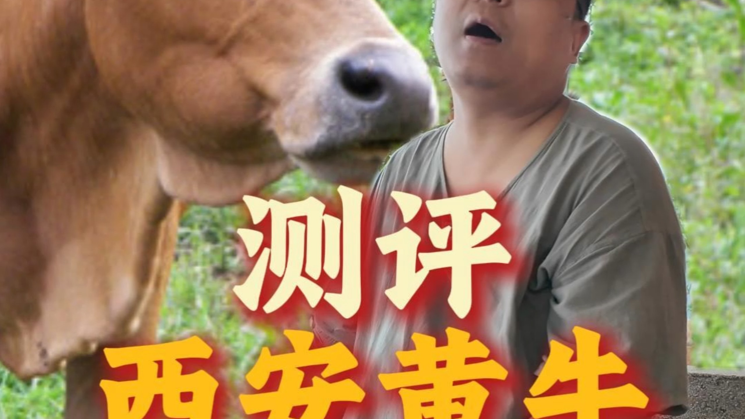 小黑诸鸣谈陕历博黄牛乱象，发声不为争执，初心守护文旅，期待行业更规范。#西安黄牛 #陕西历史博物馆 #博物馆预约 #西安旅游