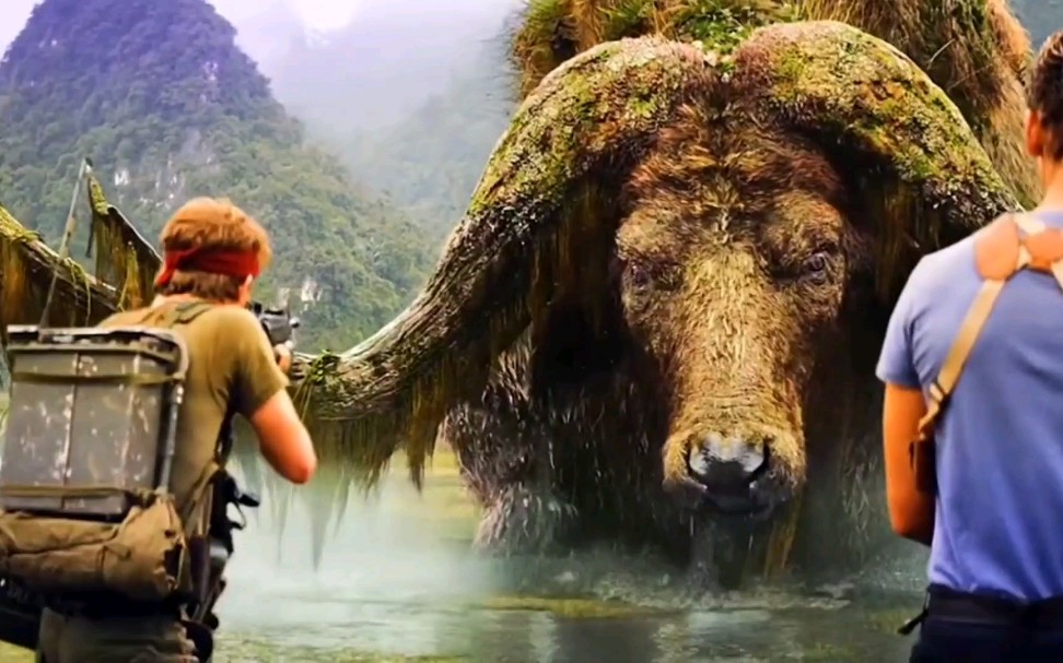 金刚生吃八爪鱼_哔哩哔哩 (゜-゜)つロ 干杯~-bilibili