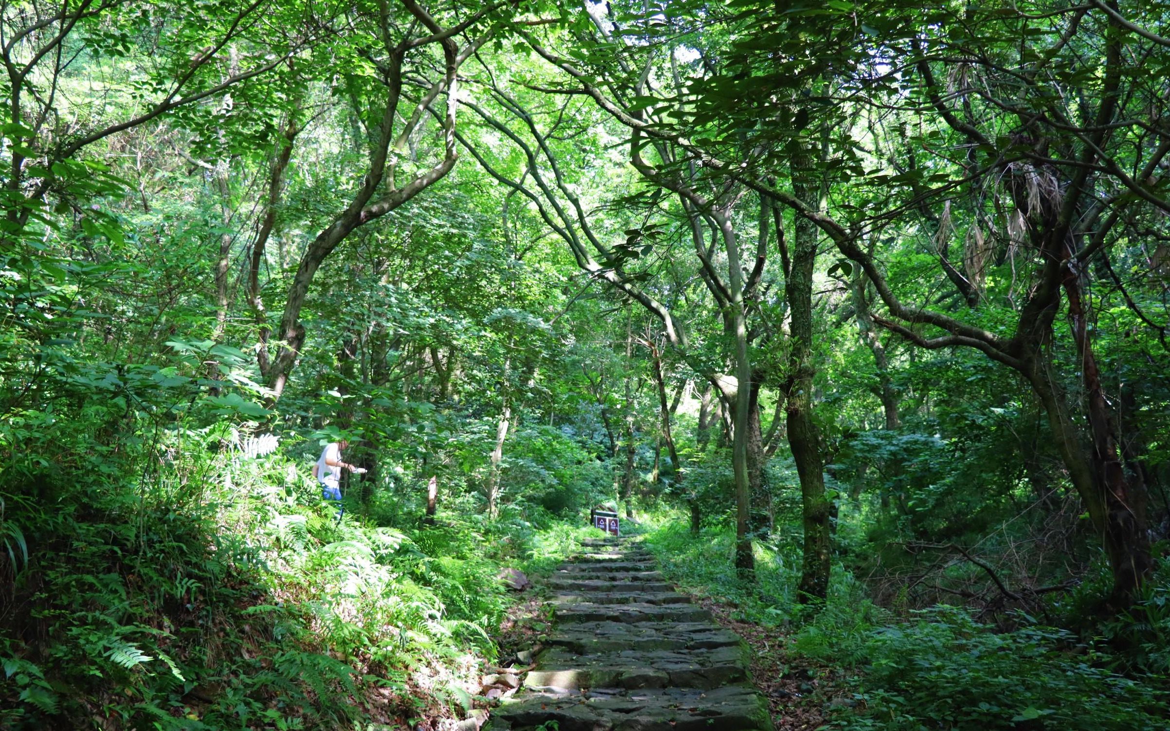 [图]宁波北山游步道灵山段，丛林密布清静凉爽，是纳凉和徒步的好去处