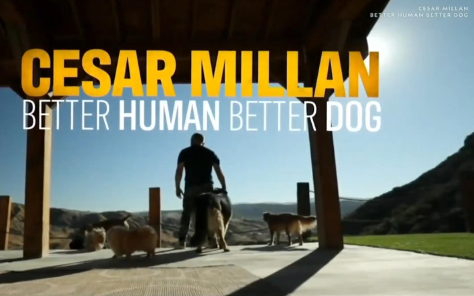 [图]西萨米兰-狗主人训练班 Better Human Better Dog 第二季