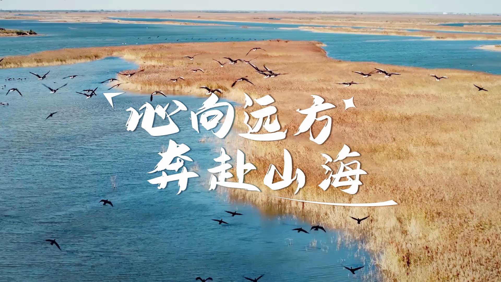 心向远方,奔赴山海-祁奇kkkkkkk-影视广告-哔哩哔哩视频