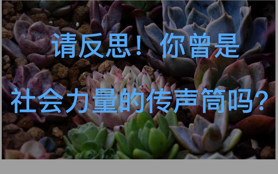 来自周飞舟老师的叮嘱:你并不是社会力量的传声筒或回音壁!!!哔哩哔哩bilibili