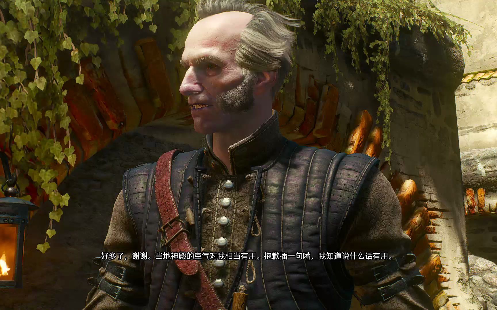 The Witcher 3 【巫师3dlc血与酒】血流成河单机游戏热门视频