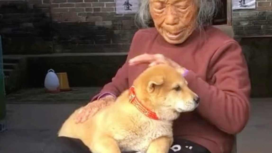 奶奶怀里的大牛和妈妈怀里的大牛