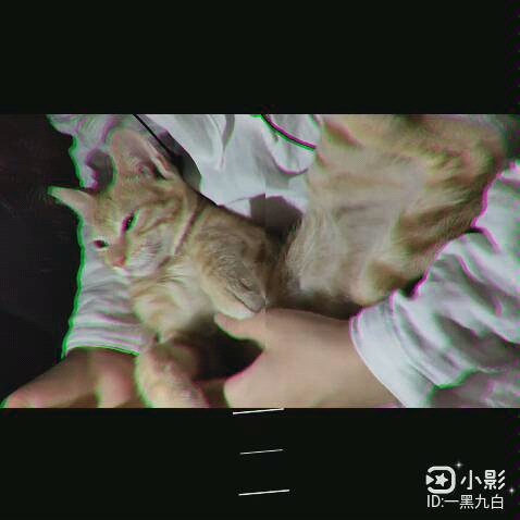 二十一,黑漆漆哔哩哔哩bilibili