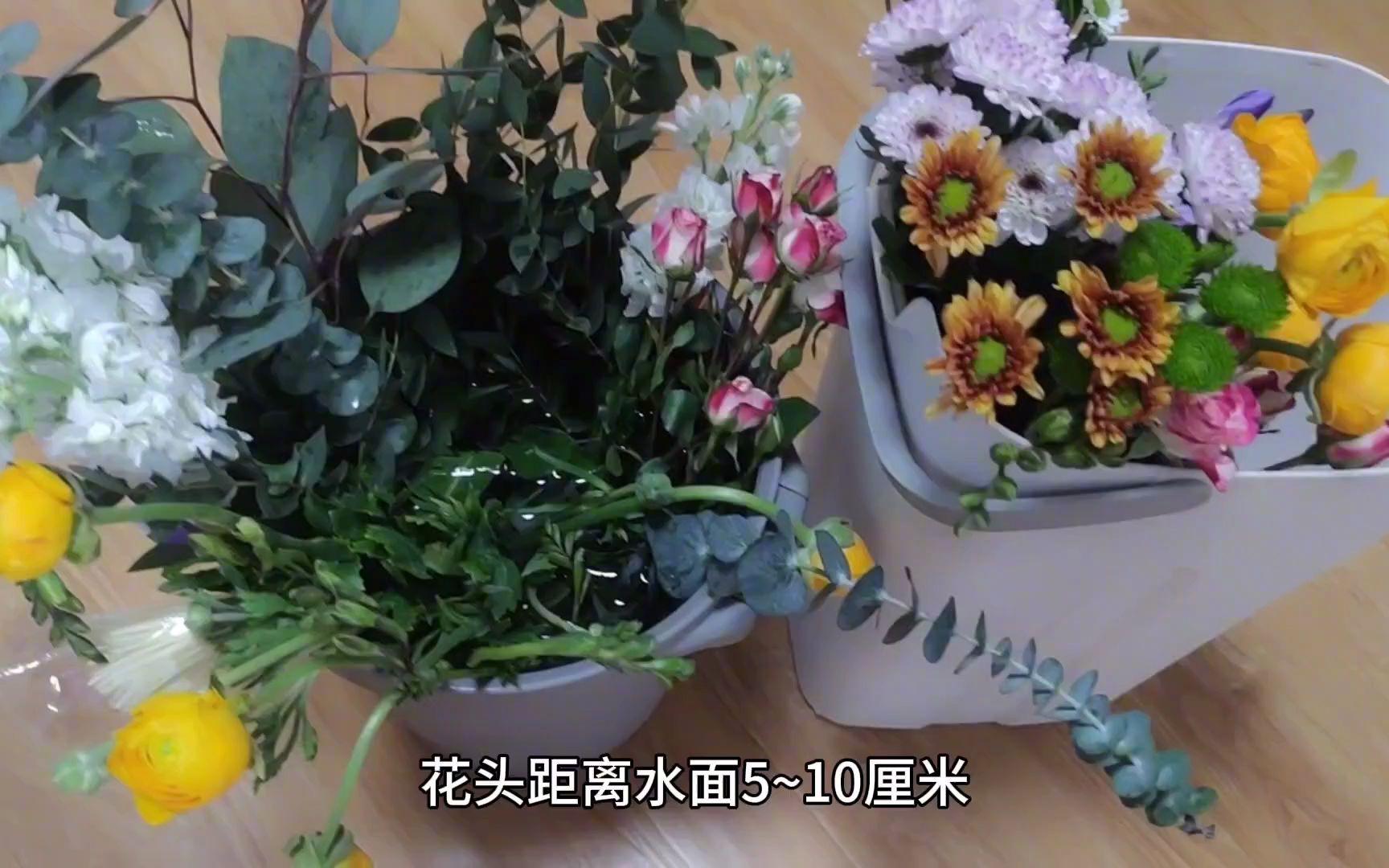 【园艺小知识】网购鲜花如何醒花醒花要多久?网购鲜花靠谱吗?网购鲜花怎样包装哔哩哔哩bilibili