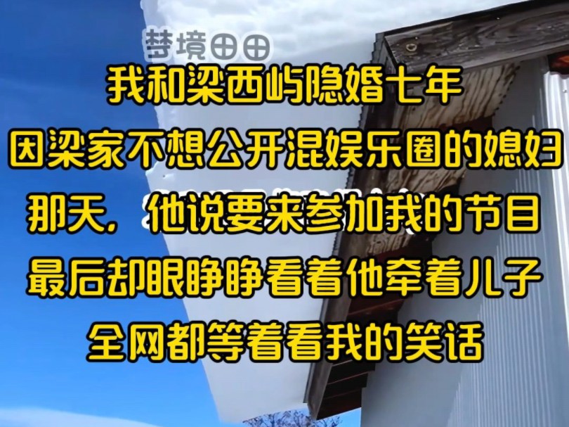 我和梁西屿隐婚七年,因梁家不想公开混娱乐圈的媳妇,那天,他说要来参加我的节目,最后却眼睁睁看着他牵着儿子,全网都等着看我的笑话哔哩哔哩...