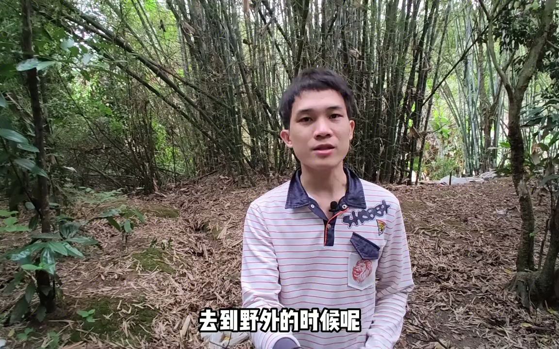 落地生根俗称“不死鸟”,原来它的价值这么高?看完可算明白了哔哩哔哩bilibili