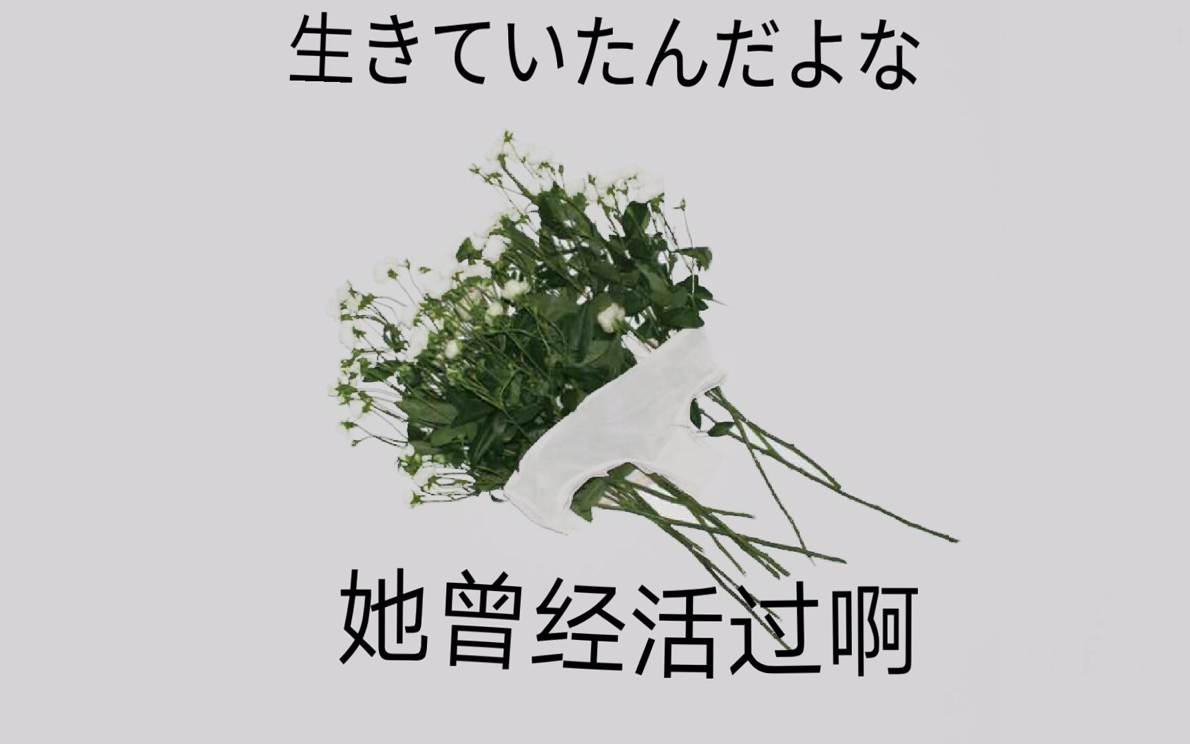 [图]【原创动画／手书】她曾经活过啊