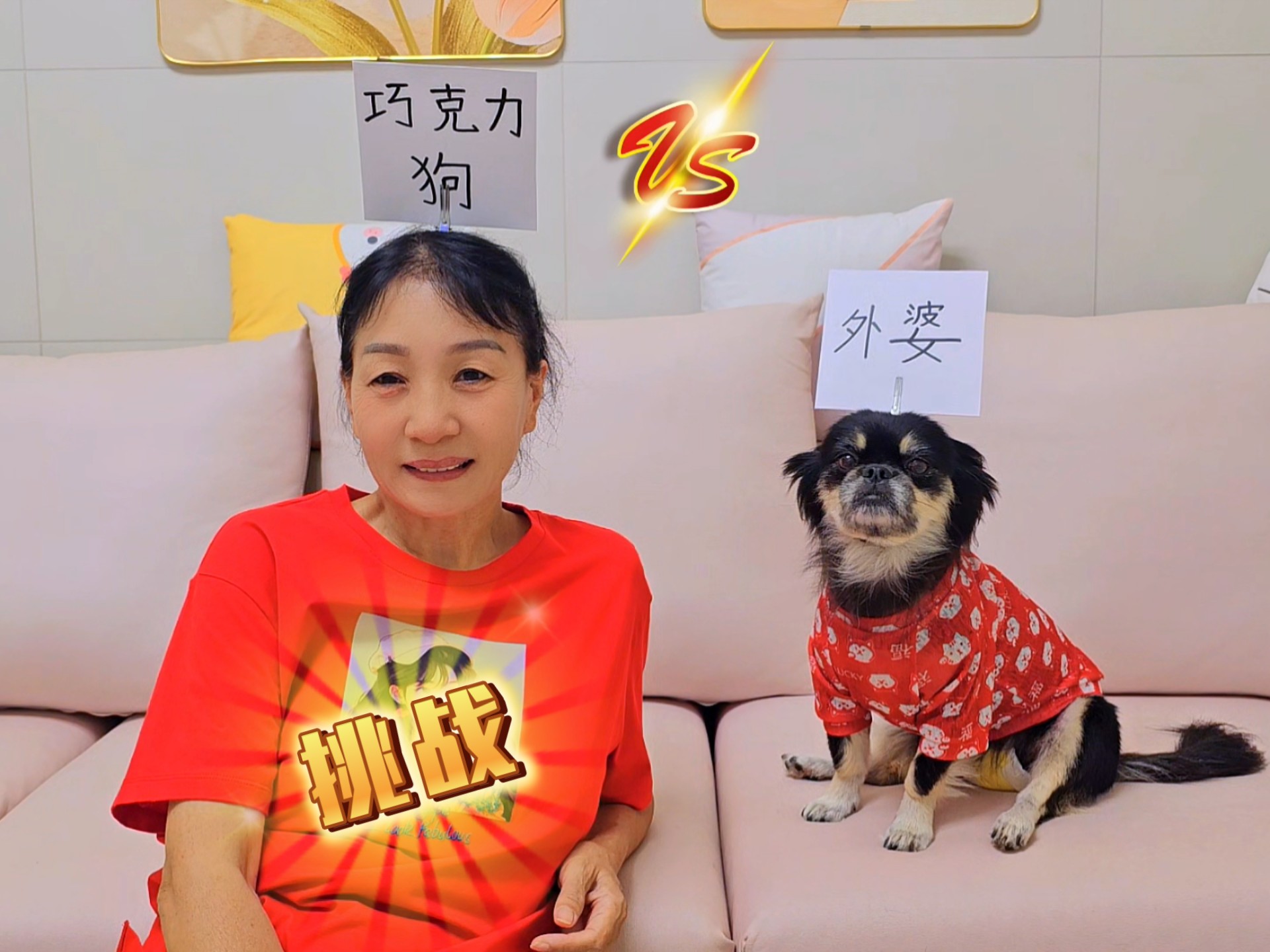 狗狗对战外婆，挑战猜词