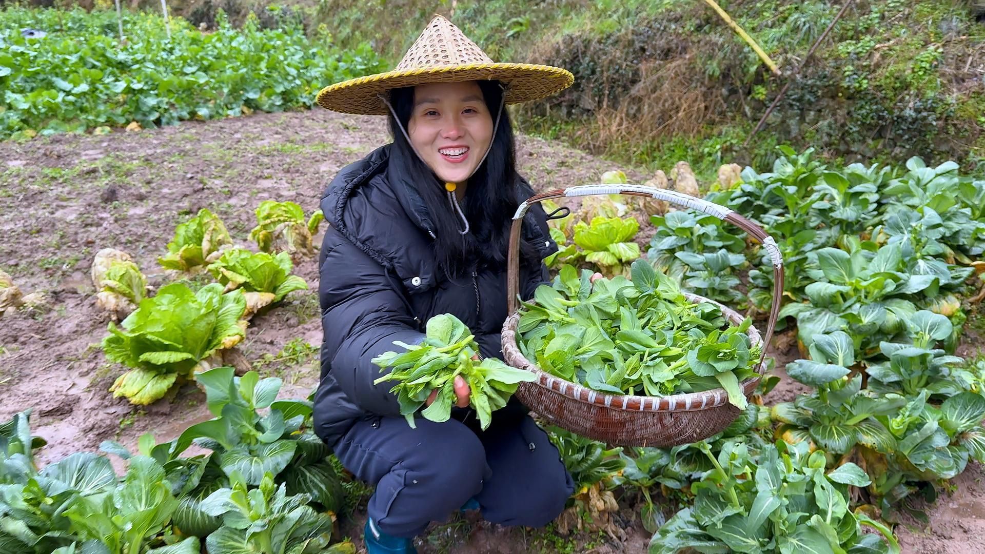 [图]过年大鱼大肉吃腻了？青菜花，比吃肉香