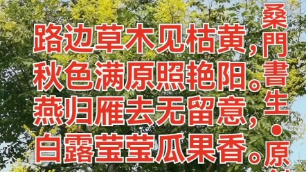 [图]七绝•白露作者/桑門書生路边草木见枯黄，秋色满原照艳阳。燕归雁去无留意，白露莹莹瓜果香。