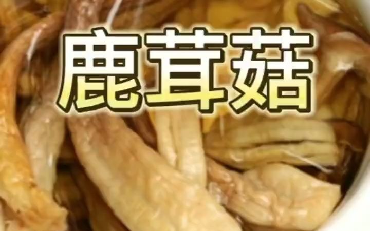 【养生汤&粥】干鹿茸菇怎么炖汤?干鹿茸菇的做法大全?哔哩哔哩bilibili