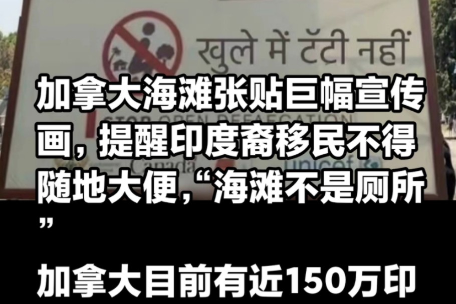 加拿大海滩张贴巨幅宣传画,提醒印度裔移民不得随地大便,“海滩不是厕所”,哈哈哔哩哔哩bilibili