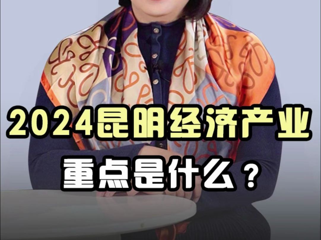 2024昆明经济产业重点是什么?哔哩哔哩bilibili