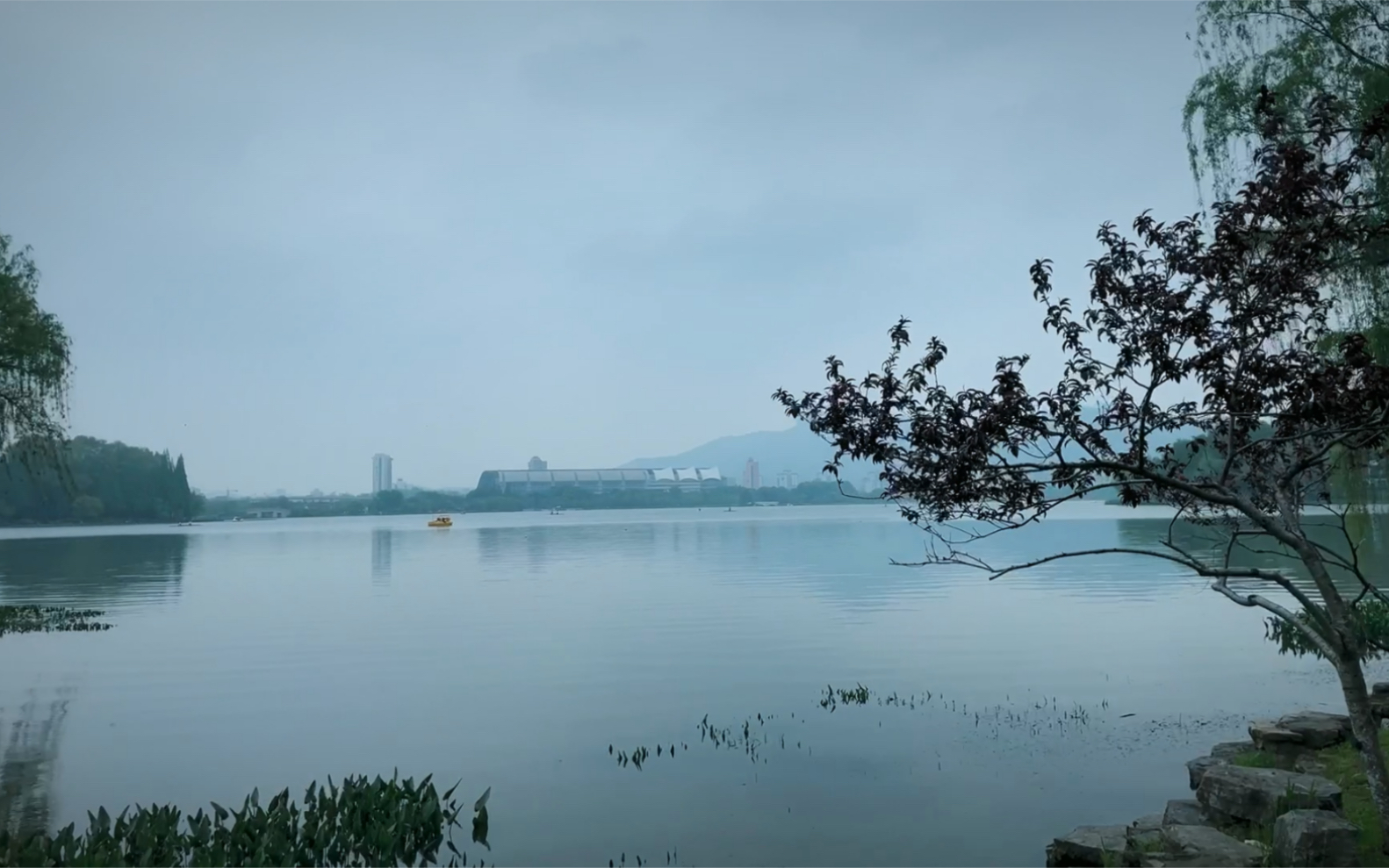 「南京遊記」一個人的旅行.天青色等煙雨,而你在等誰