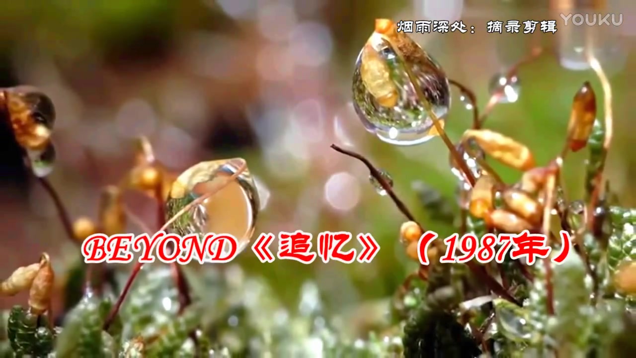 BEYOND《追忆》粤语!哔哩哔哩bilibili