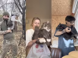 【tiktok】国内“用猫当手风琴”输出到海外了，老外纷纷模仿把玩自家的猫