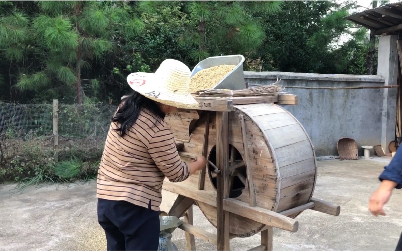 小时候扇谷子的风车,大家有用过吗?