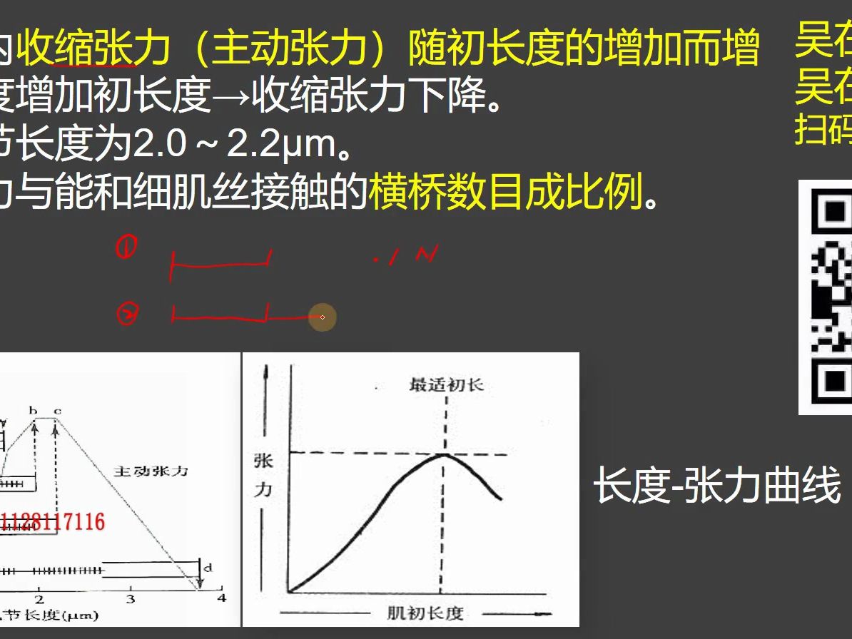 10-2024吳在望逆襲營肌肉收縮2_吳在望逆襲營