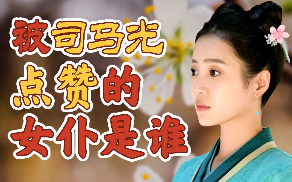 【赵冬梅】司马光为她作传,北宋不著名女性张行婆乘风破浪的一生哔哩哔哩bilibili