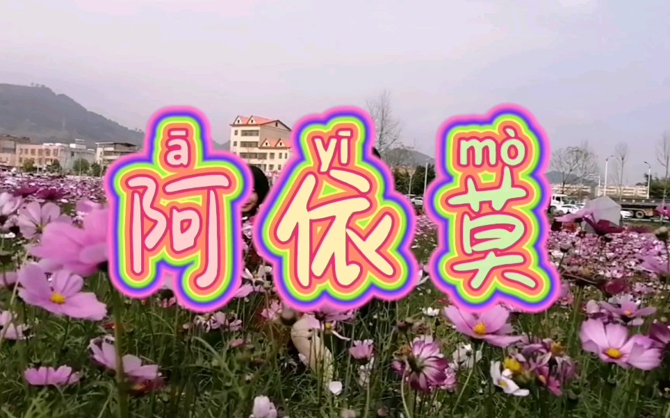 阿衣妞妞,海玛塔莎诺,让风吹干你脸上的泪痕,一首动感好听的《阿依莫》送给大家哔哩哔哩bilibili