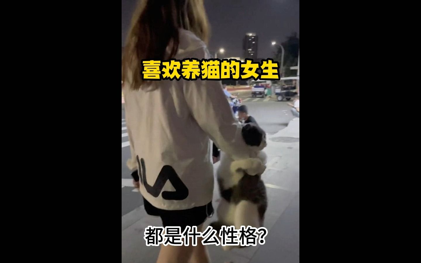 你知道养猫的女生都是什么性格吗哔哩哔哩bilibili