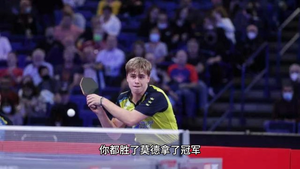 樊振东 你得向银牌选手莫雷加德学习