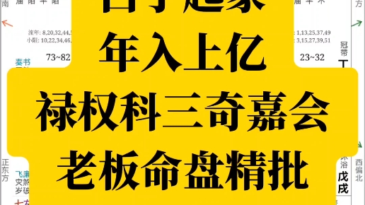 年入上亿白手起家!紫微斗数老板命盘实盘精批,精彩不容错过!哔哩哔哩bilibili