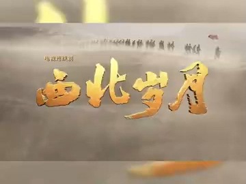 《西北岁月》11月11日15日(周一至周五)20:00,央视一套播出哔哩哔哩bilibili