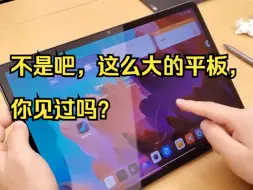 Download Video: 不是吧，这么大的平板，你见过吗？