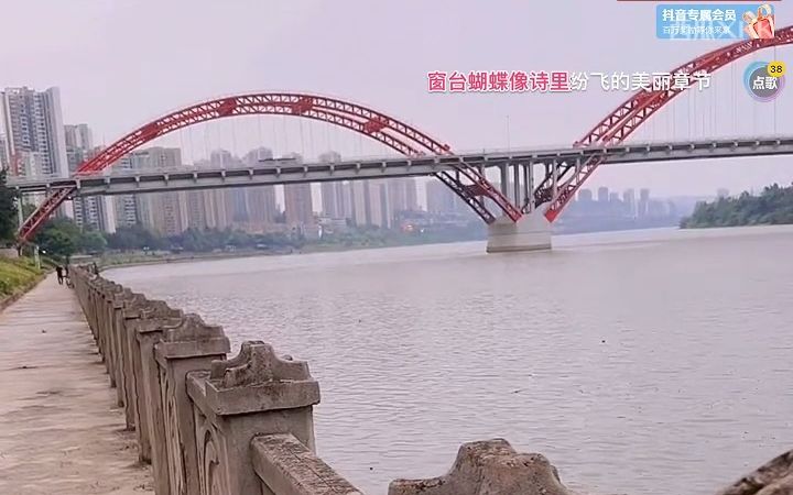 [龙头低吸]「张启山」:江边闲聊,行情看法哔哩哔哩bilibili