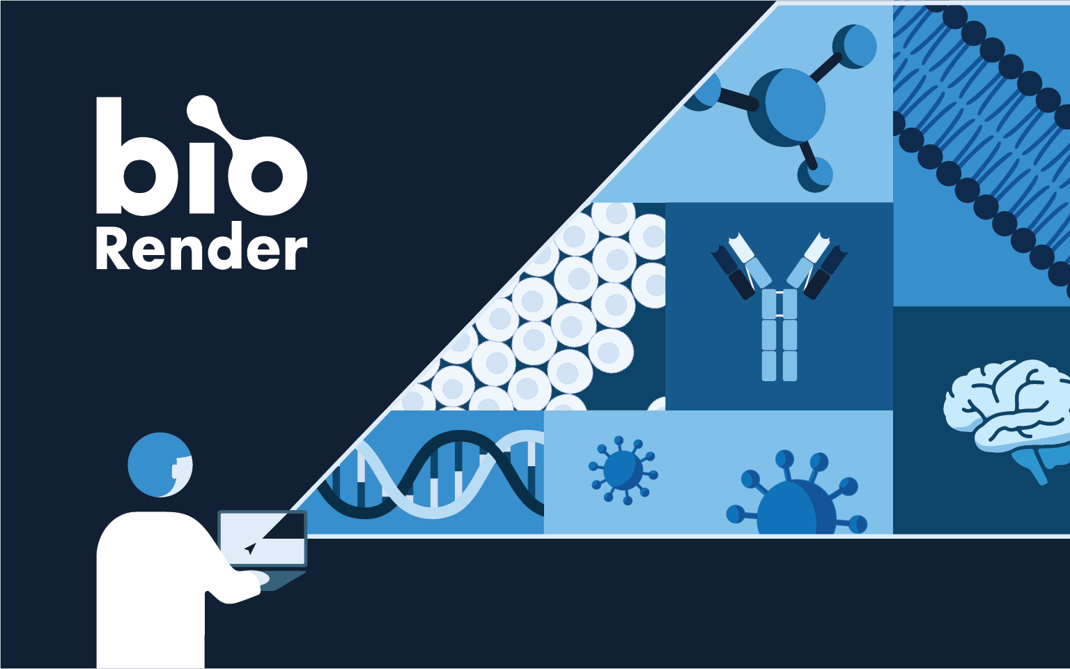 biorender 官方使用指南合集