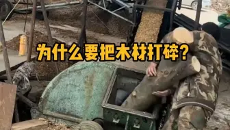 为什么要把木材打碎？ #科普 #解压 #木材加工 #旋切