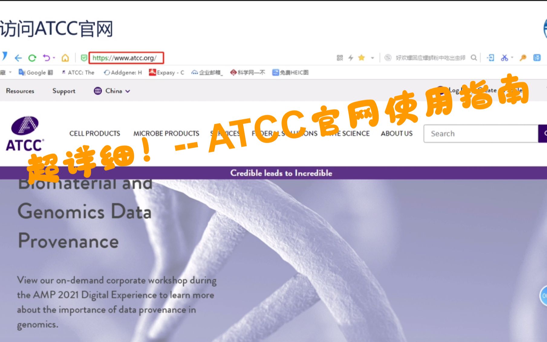 超详细! ATCC网站使用指南哔哩哔哩bilibili