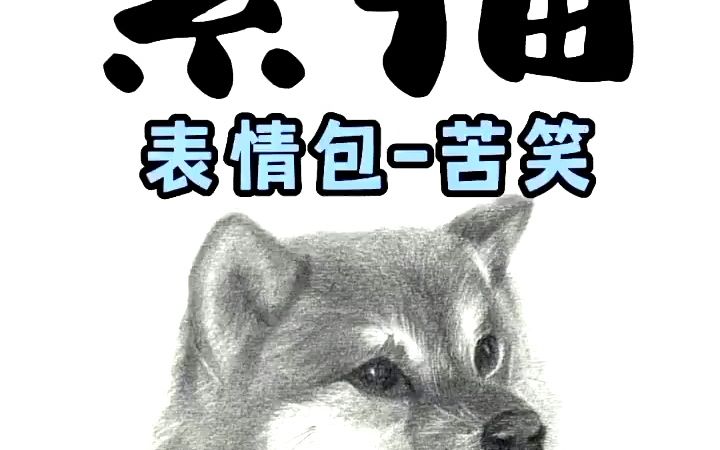 就算是一只苦笑的狗子也要保持可爱#零基础学画画 #素描 #柴犬 #表情包哔哩哔哩bilibili