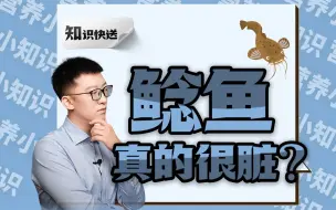 Download Video: 鲶鱼，吃屎长大的？真有！但是别担心...