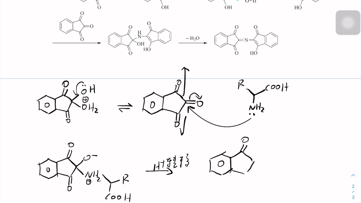 水合茚三酮和氨基酸反应机理粗糙个人理解哔哩哔哩bilibili