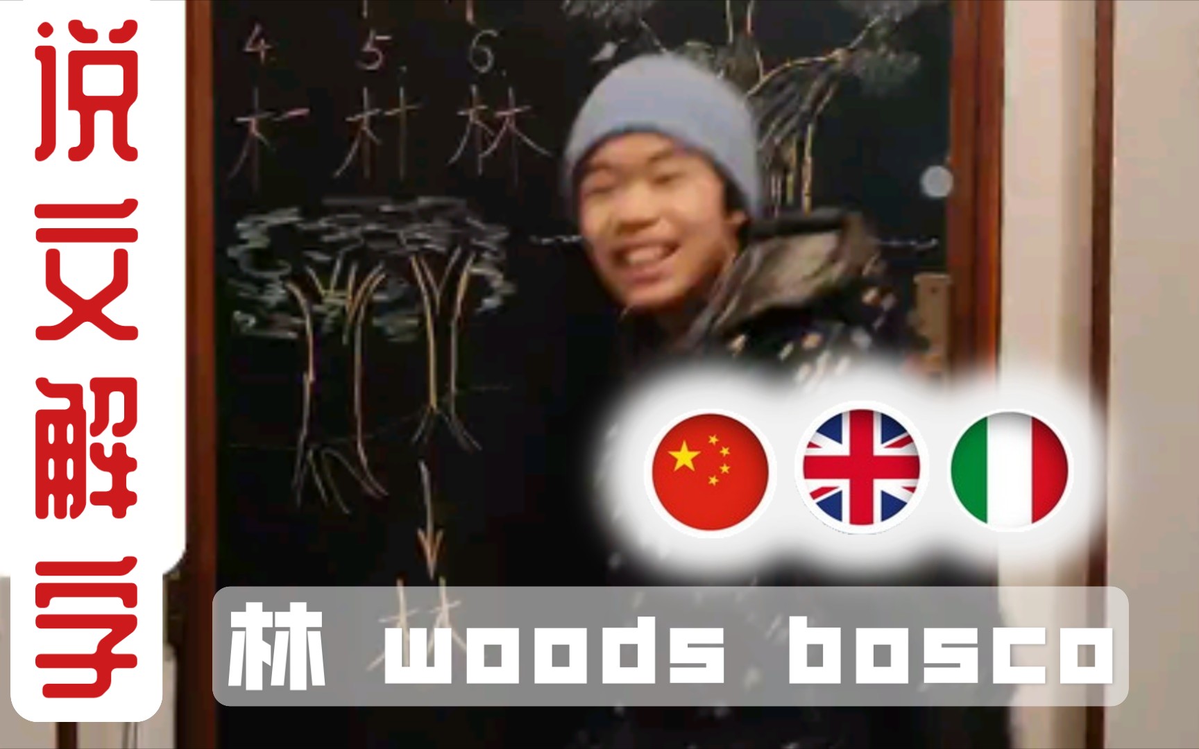 43说文解字(林/woods/bosco)哔哩哔哩bilibili