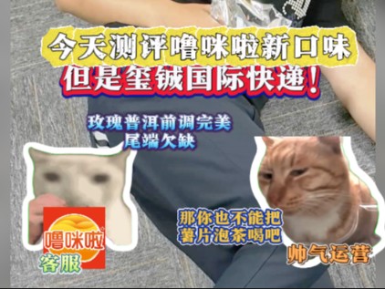 (猫meme)帮噜咪啦测试新口味,但是玺铖国际快递整活!哔哩哔哩bilibili