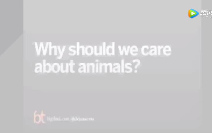 动物权利源于人权辩论素材 Why should we care about animals?哔哩哔哩bilibili