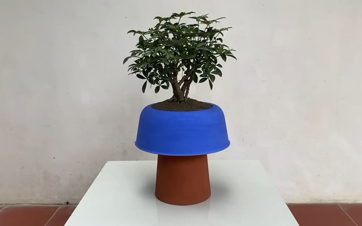 【水泥模型】用熟悉的物品和水泥制作蘑菇花盆的制作过程