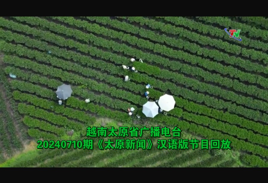 越南太原省广播电台(tn)20240710期《太原新闻》汉语版节目回放(无