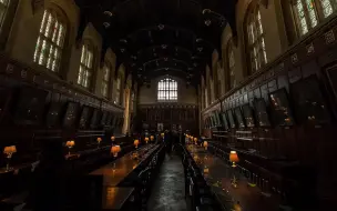 Download Video: 【study with HarryPotter】“像是电影中的主角那样学习吧,猫头鹰会送来你的成绩单的”|学习&工作&阅读用