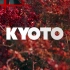 日本之旅之Kyoto#我在京都查成绩