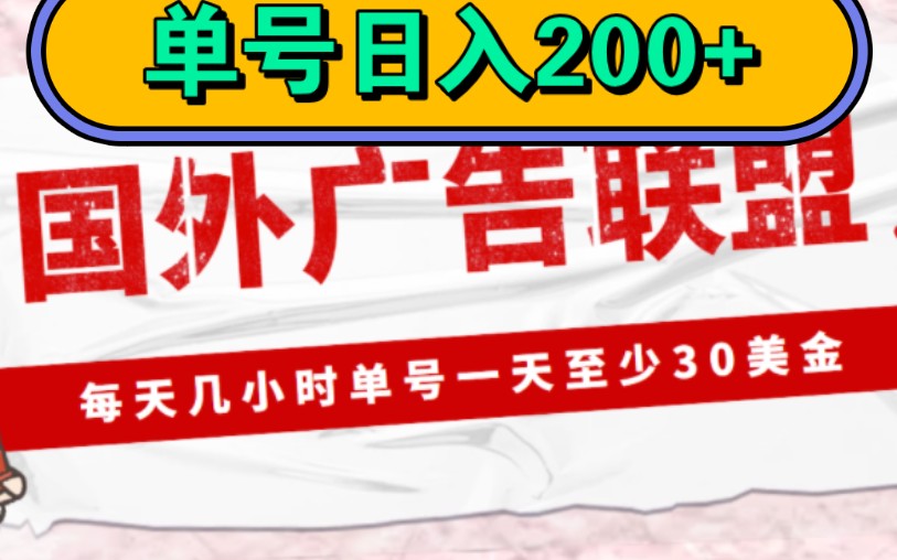 外面收费1980的最新国外LEAD广告联盟搬砖项目,单号一天至少30美金,轻松月入过万.哔哩哔哩bilibili