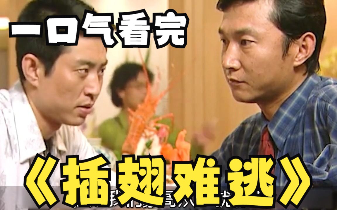 一口气解说完系列:《插翅难逃》2小时精彩解说,悍匪张世豪的搞钱之路!