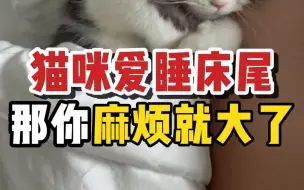 下载视频: 猫咪睡在不同地方的含义，你家猫爱睡哪？