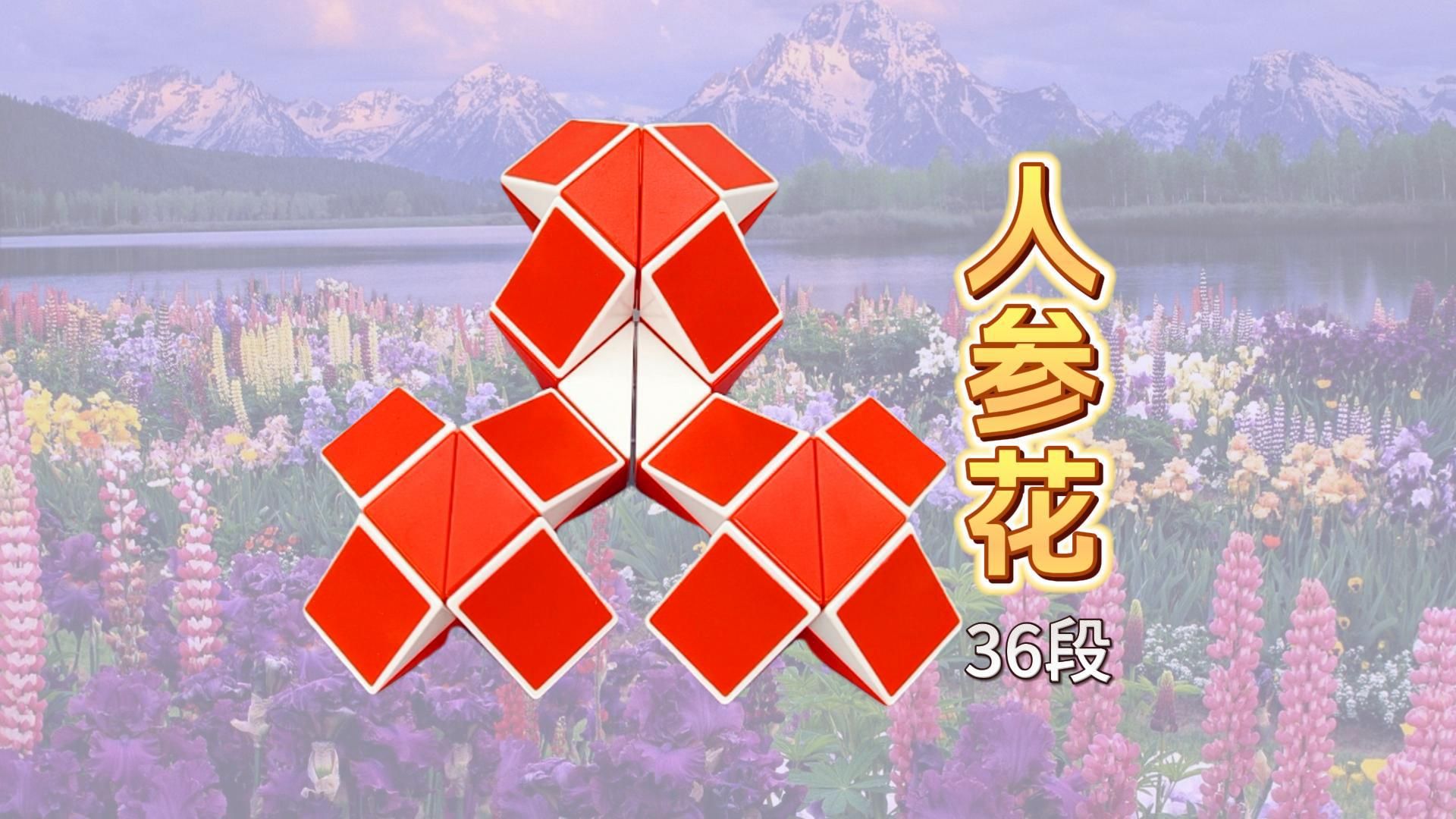 36段魔尺教程变人参花,折法简单易学慢动作-雅奇魔尺-雅奇魔尺-哔哩