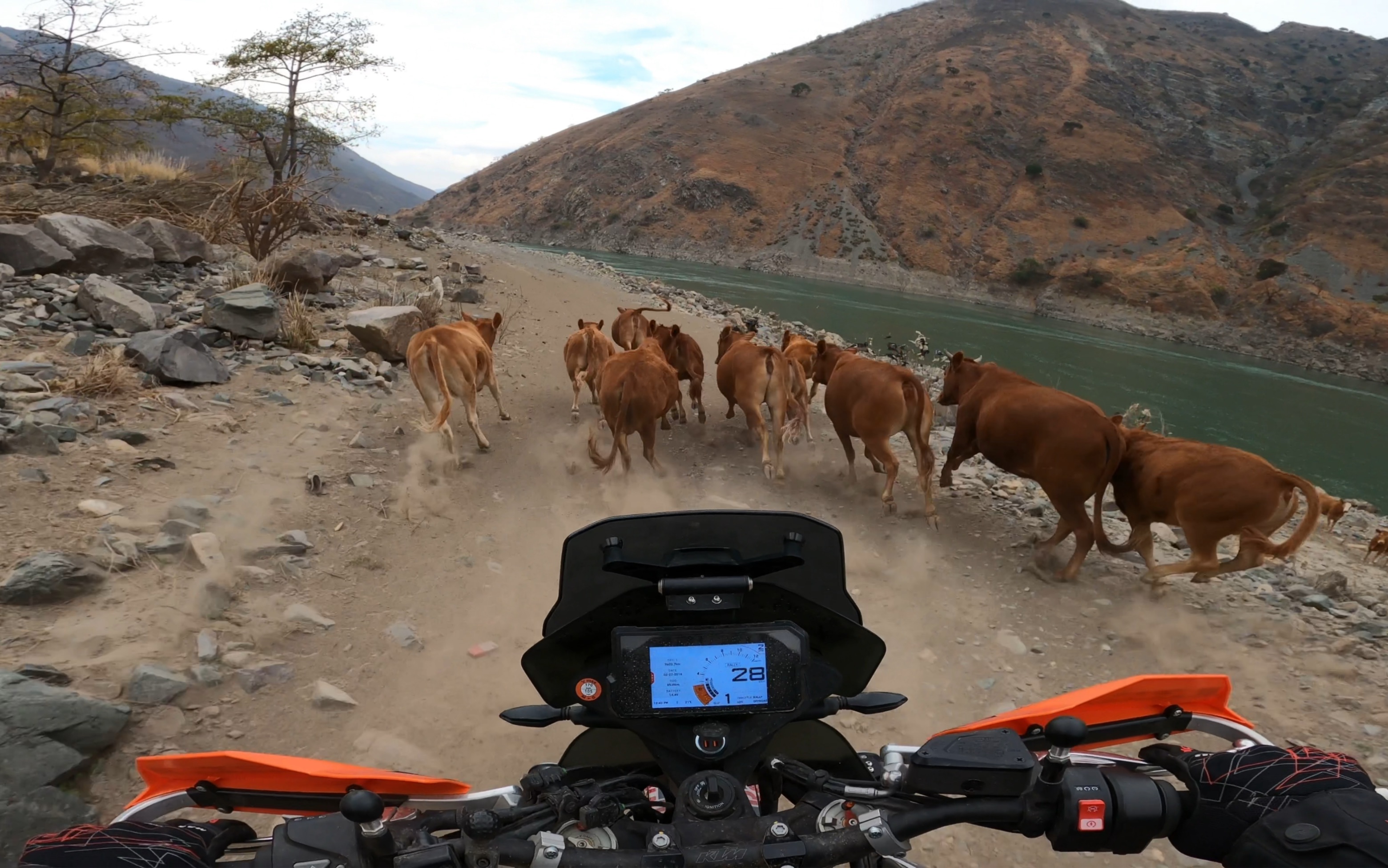 又又又走攀枝花拉鲊成昆老线